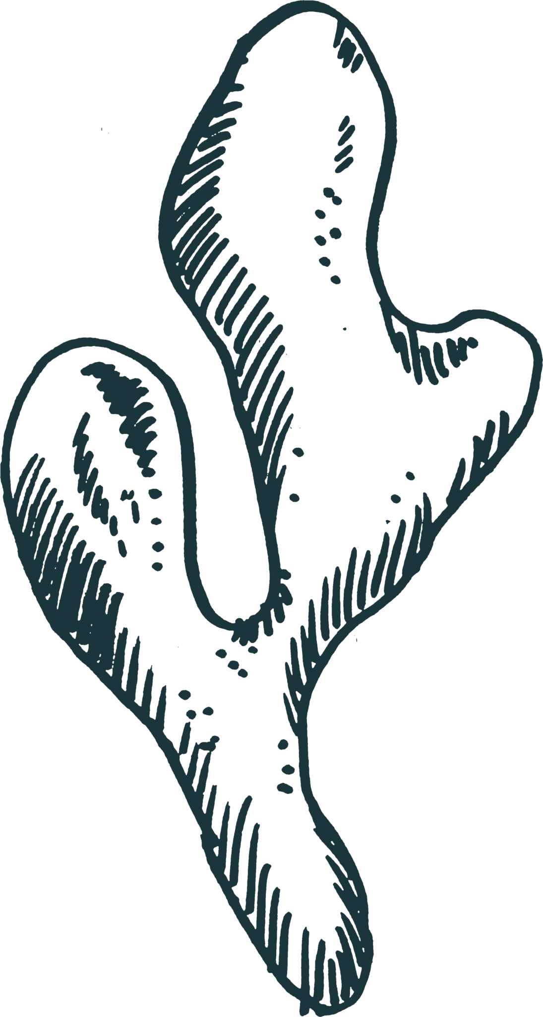 Alive Festival alivefestival.dk 25.27. juli 2024